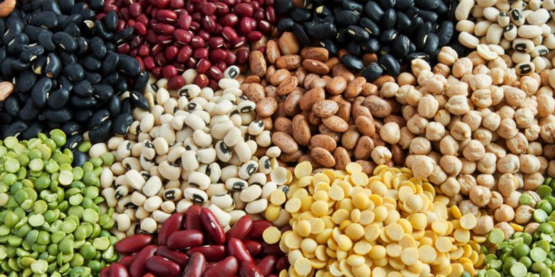 pengering biji-bijian