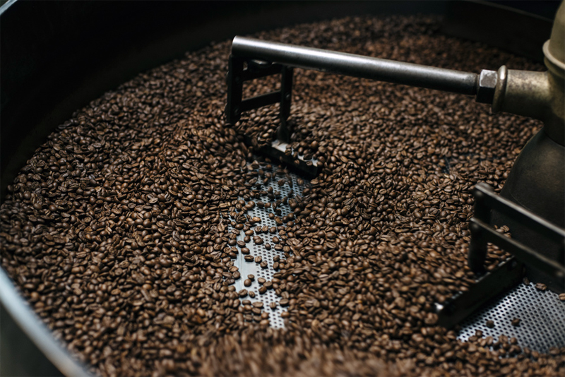 usaha sangrai kopi