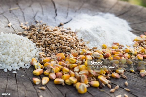 mesin penepung