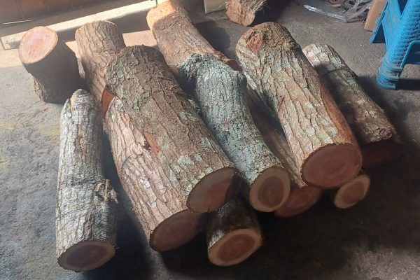mesin pembelah kayu