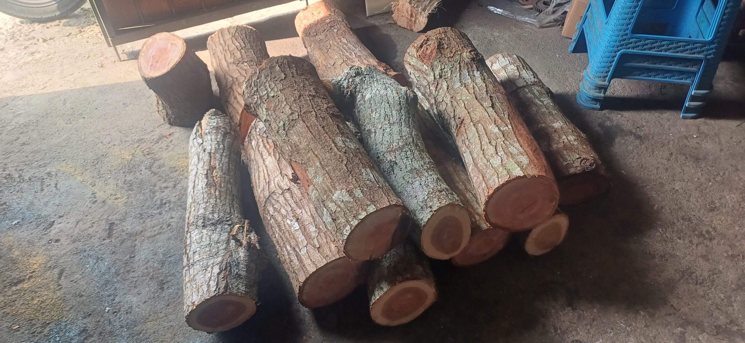 mesin pembelah kayu