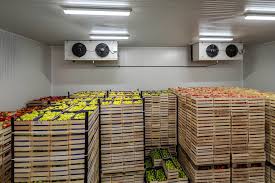 cold storage
