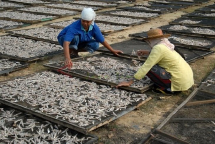 mesin oven pengering