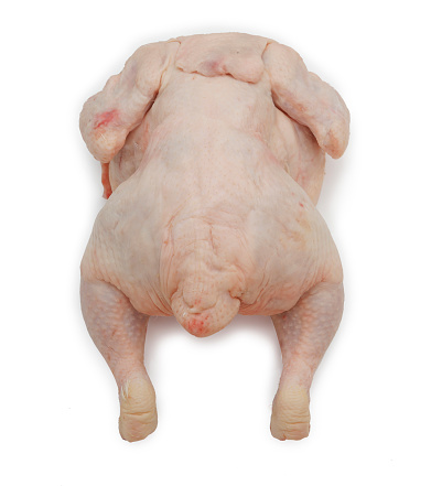 cabut bulu ayam